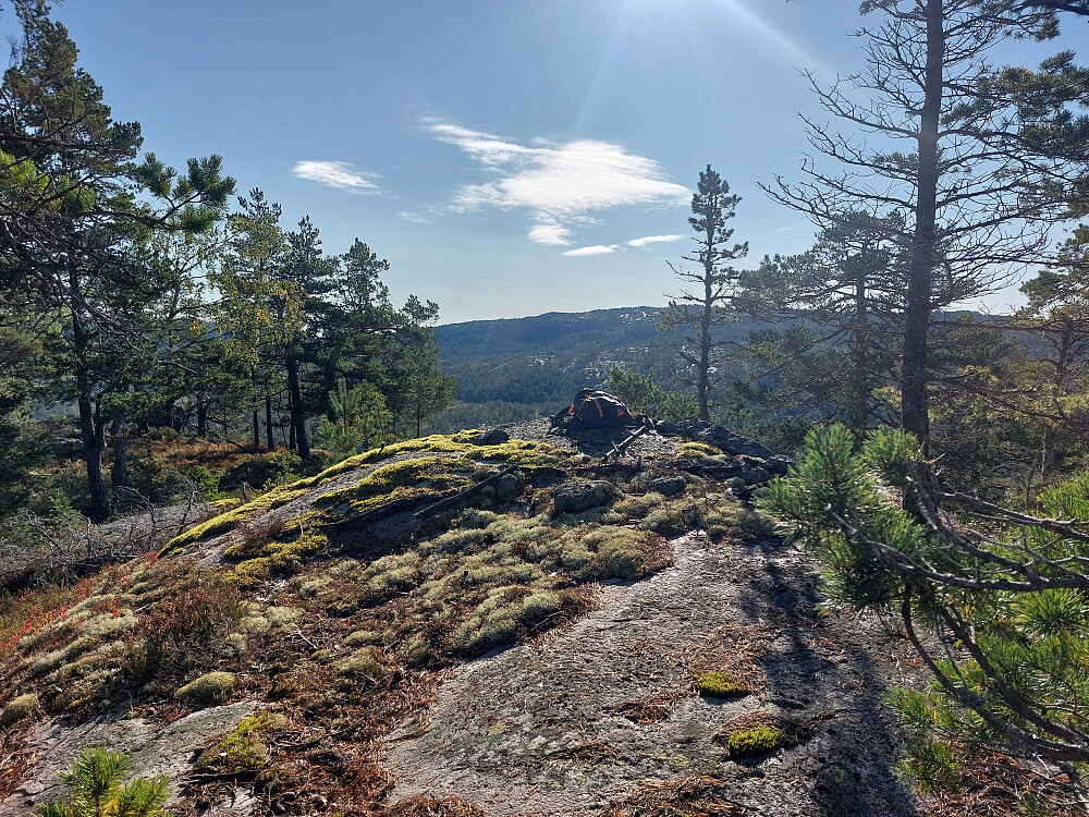 Toppunkt