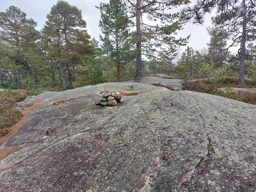 Toppunkt