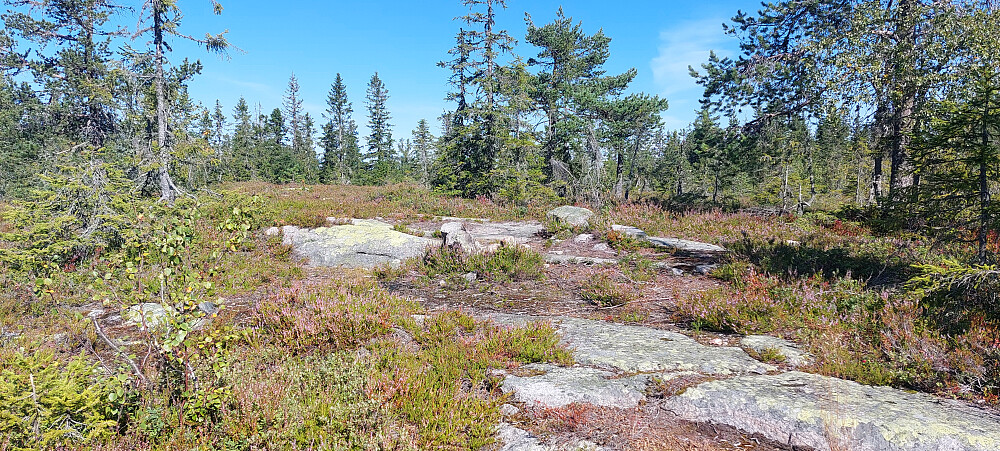 Bislingflaka
