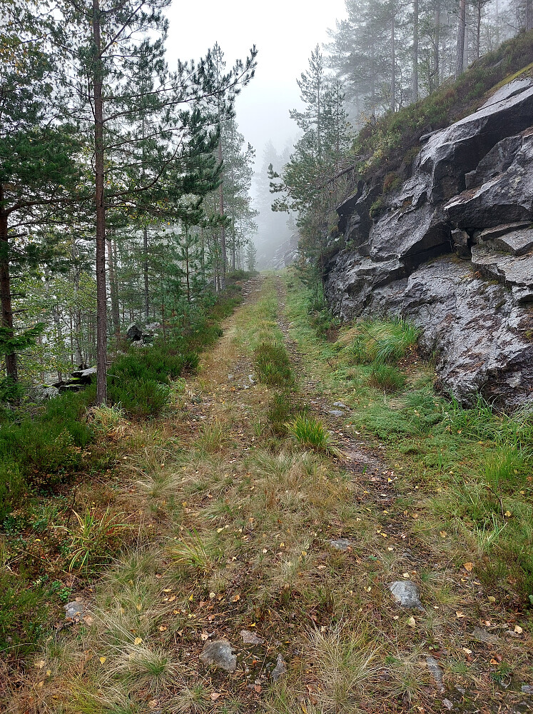 Traktorvei fra gården
