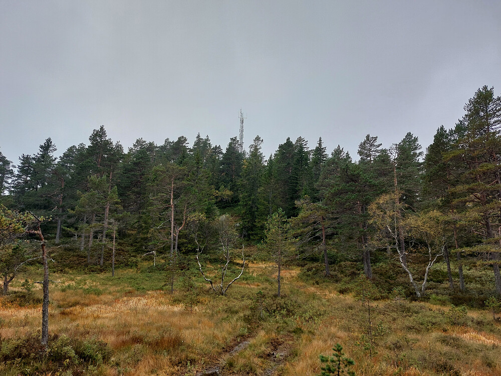 Flater ut før toppen