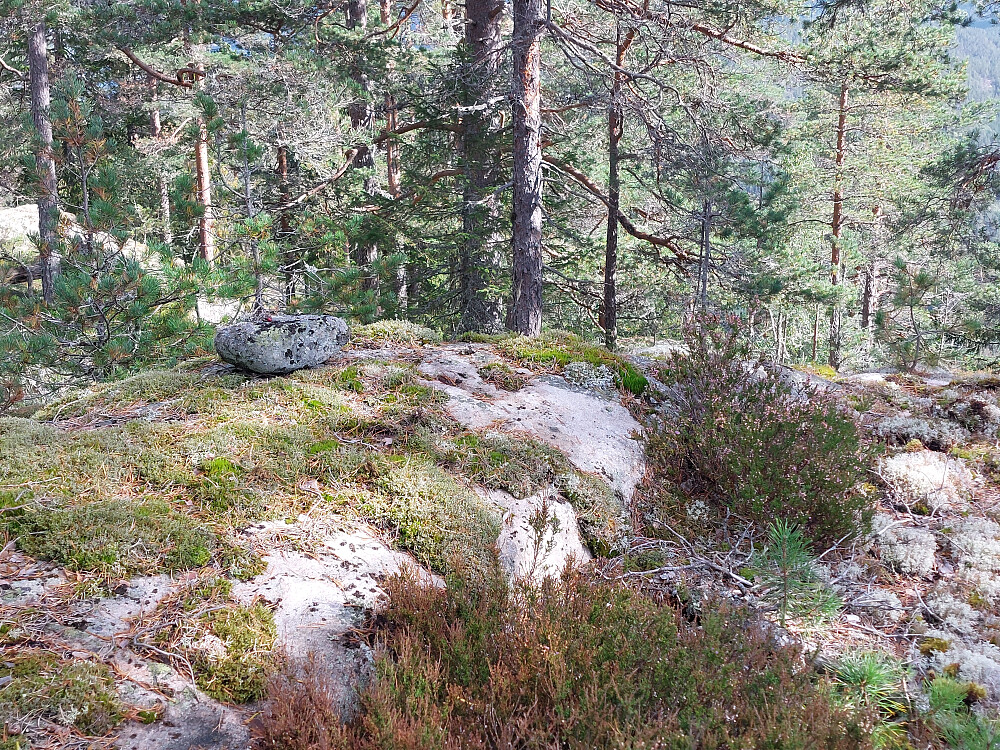 Toppunktet
