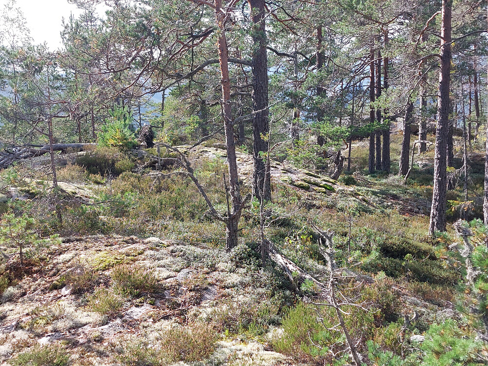 Ganske flat på toppen. 