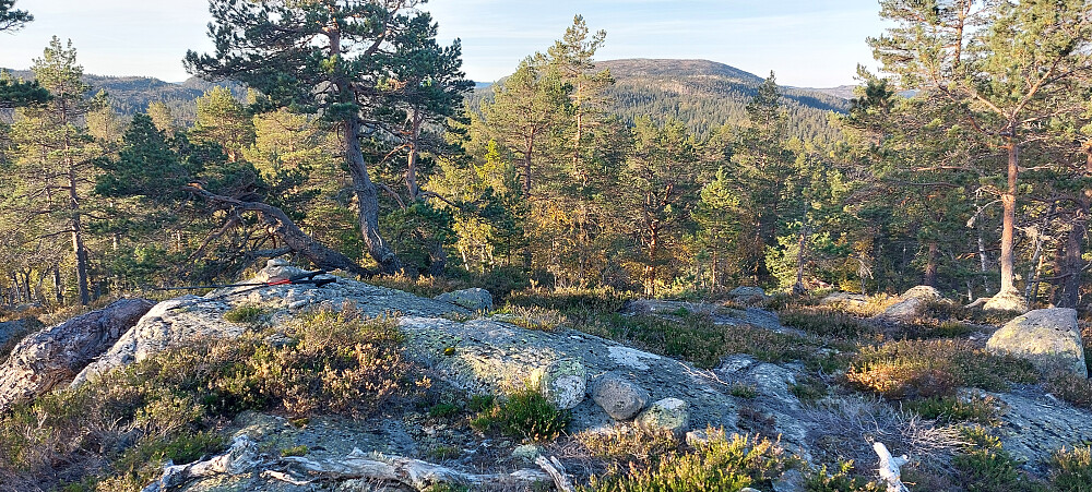  Toppunktet