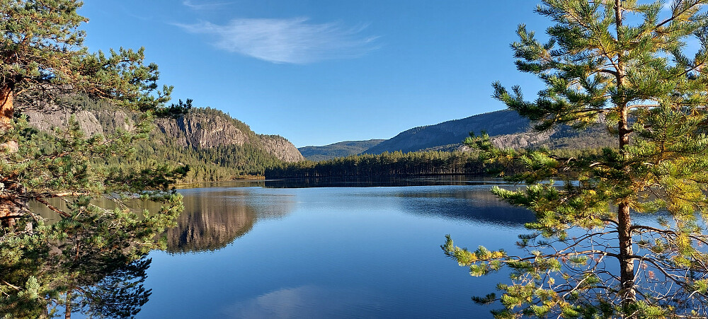 Hønevatn