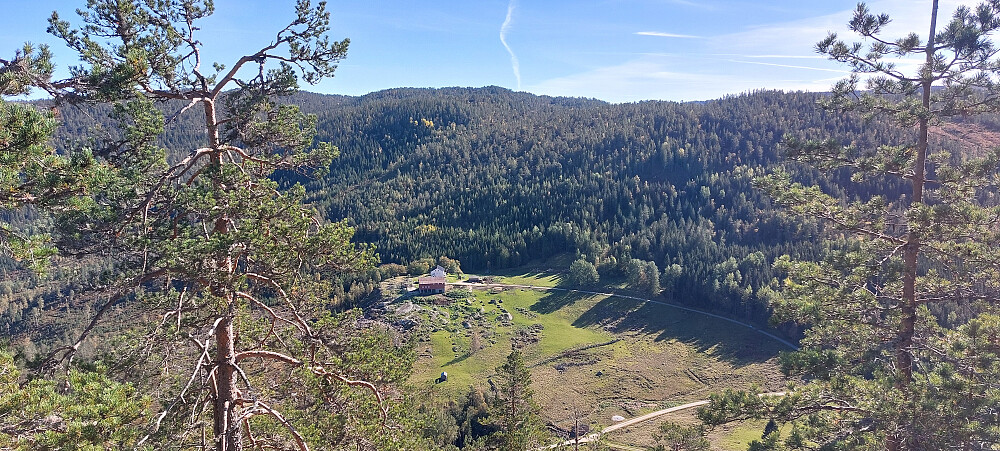 Espestøyl