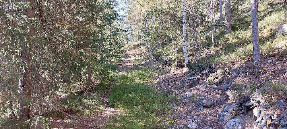 Traktorvei