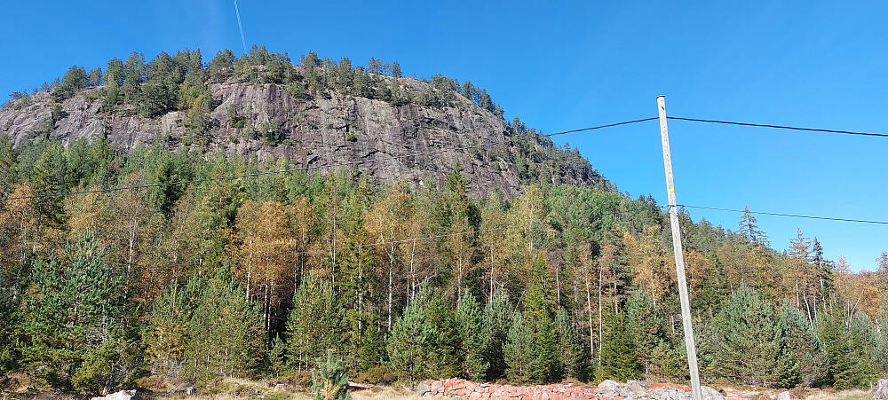 Hanekam. Sett fra Espestøyl