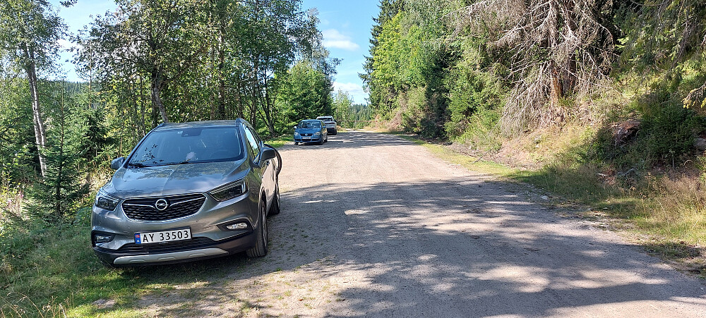 Parkering