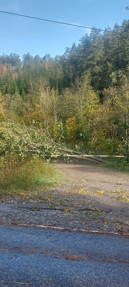 Bomvei til Eikelifjellet