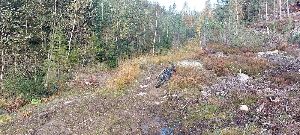 Gammel traktorvei herfra