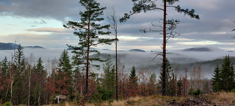 Litt utsikt på vei oppover. 