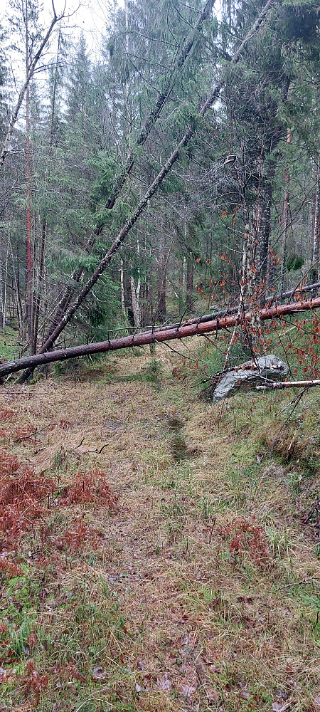 Amy har slått fra seg her og