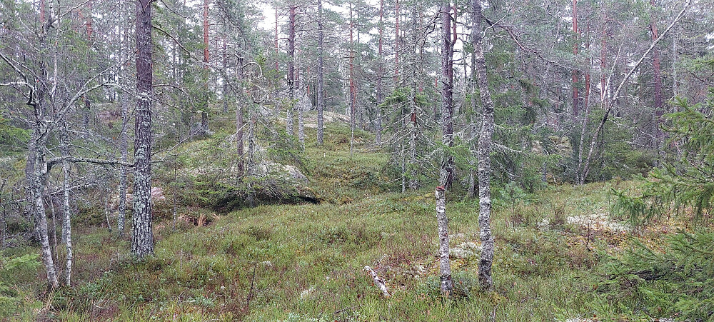 Siste stigning til toppen