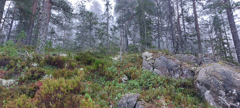 Fra høyspentlinja og videre opp til toppunktet
