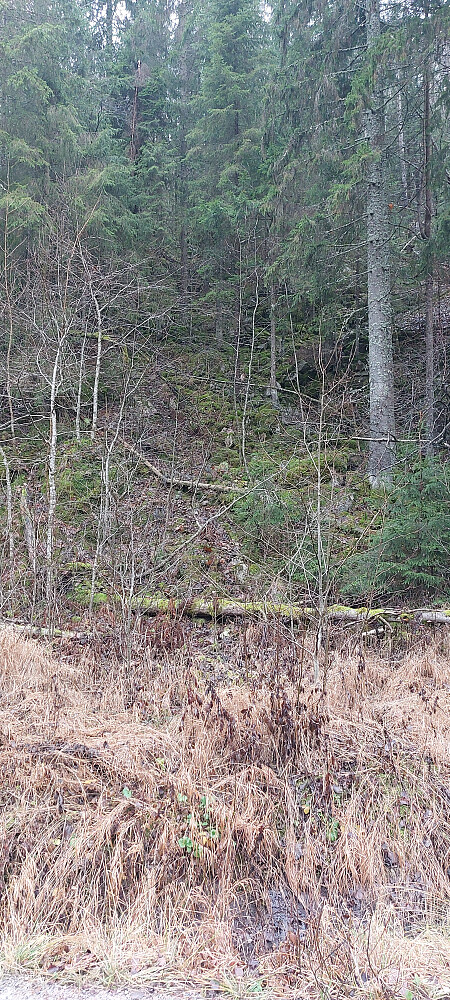 Det er så kronglete og bratt som det ser ut, men det er ikke så langt.