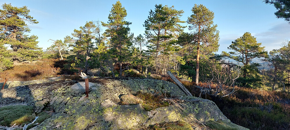 Toppunkt Blomtjennheia