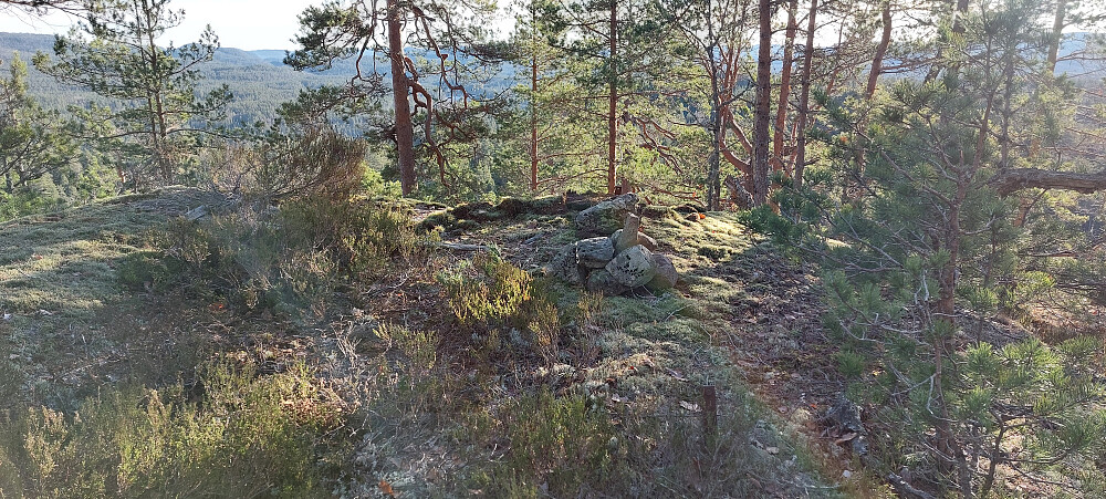 Toppunkt Middagskollen