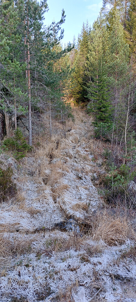Traktorslepe mot Blomtjennheia. Ikke følg denne. Gå 30 meter videre på veien. Der går det sti opp heia.