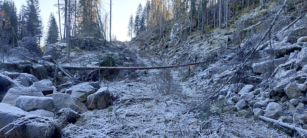 Total ødeleggelse for å få opp hogstmaskiner