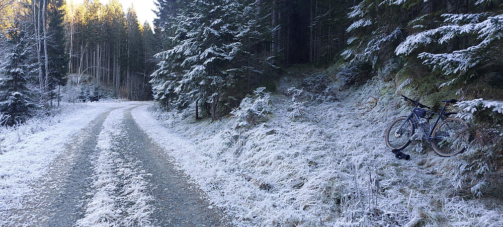 Her går traktorvei opp til høyre