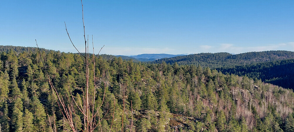 Tårnet på Vealøs i det fjerne