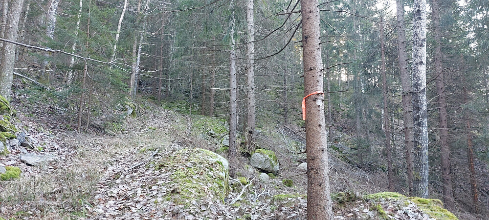 Fant ett gult merke på veien