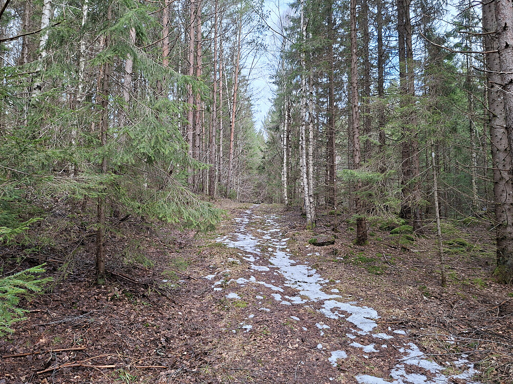 Deretter traktorvei og sti