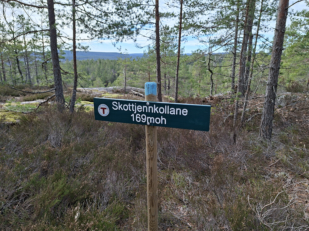  Skottjennkollane toppunkt