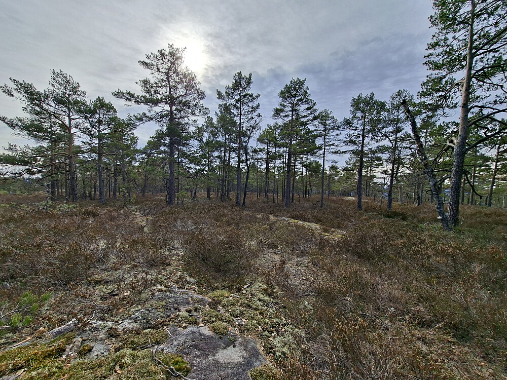 Flatt og fint på toppen