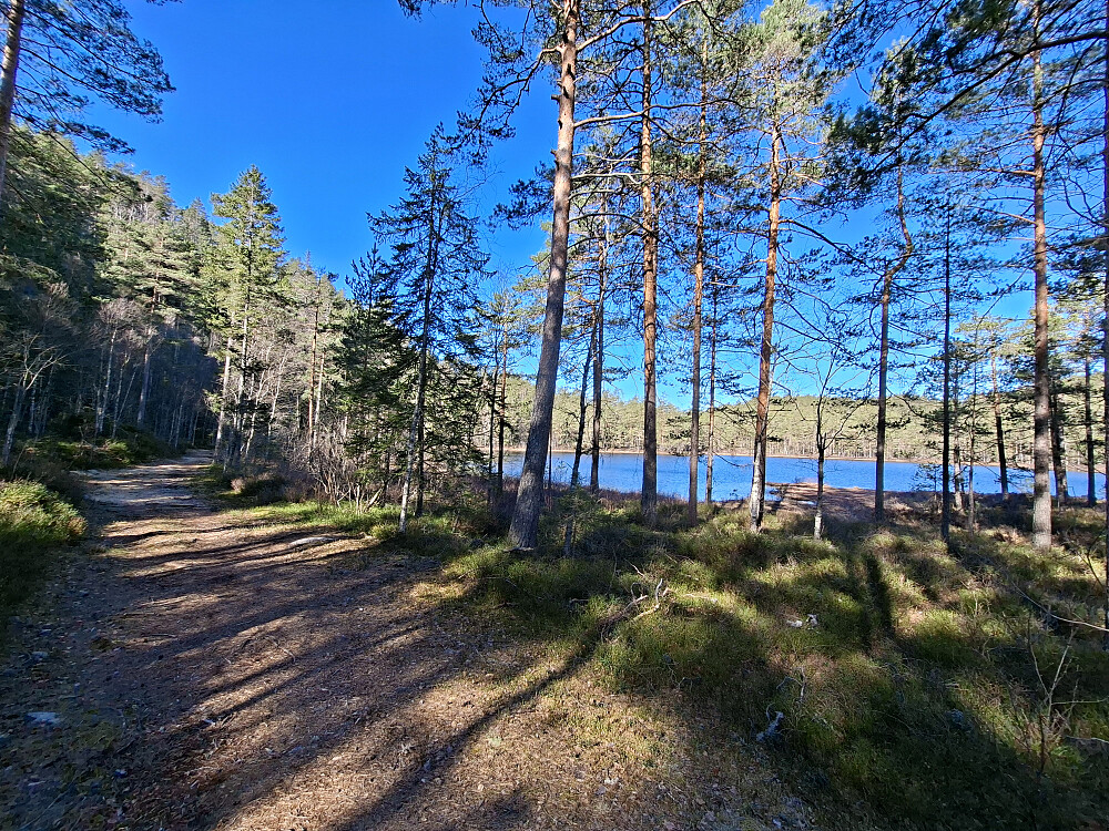 Gjærumtjenn passeres. Her er det en fin rasteplass