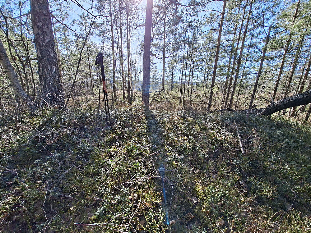  Toppunkt sånn cirka