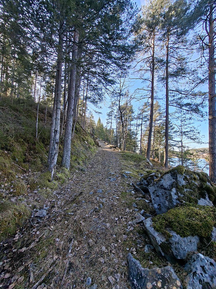 Traktorveien