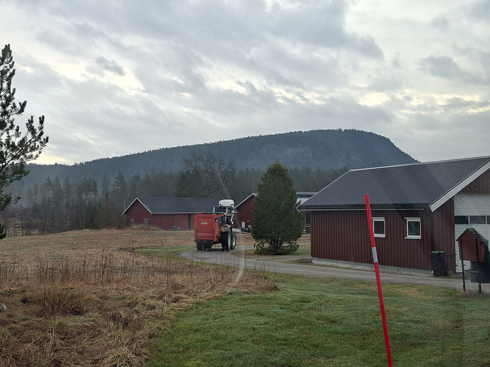 Kittilskollen fra veien ned til Gåsodden