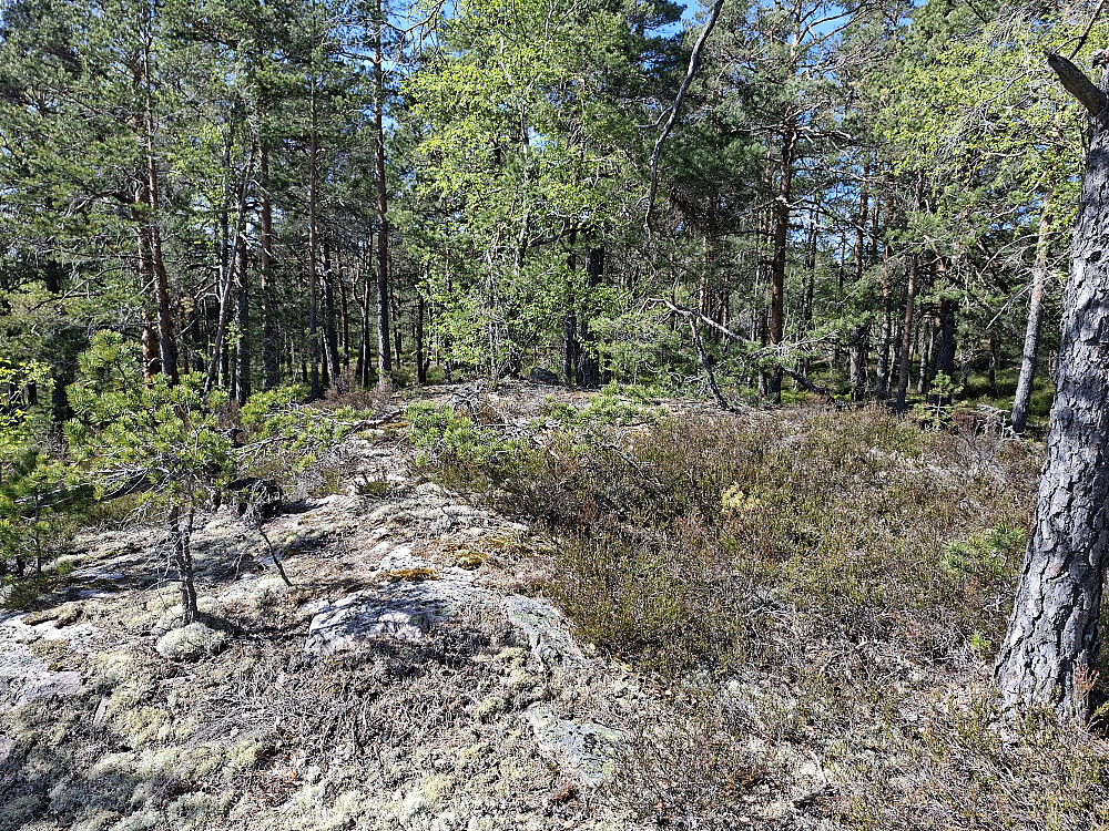 Klokleråsen toppunkt