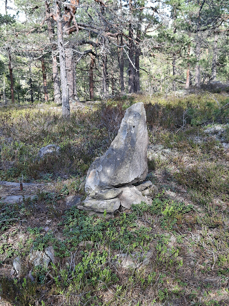 Dalskufjell toppunkt