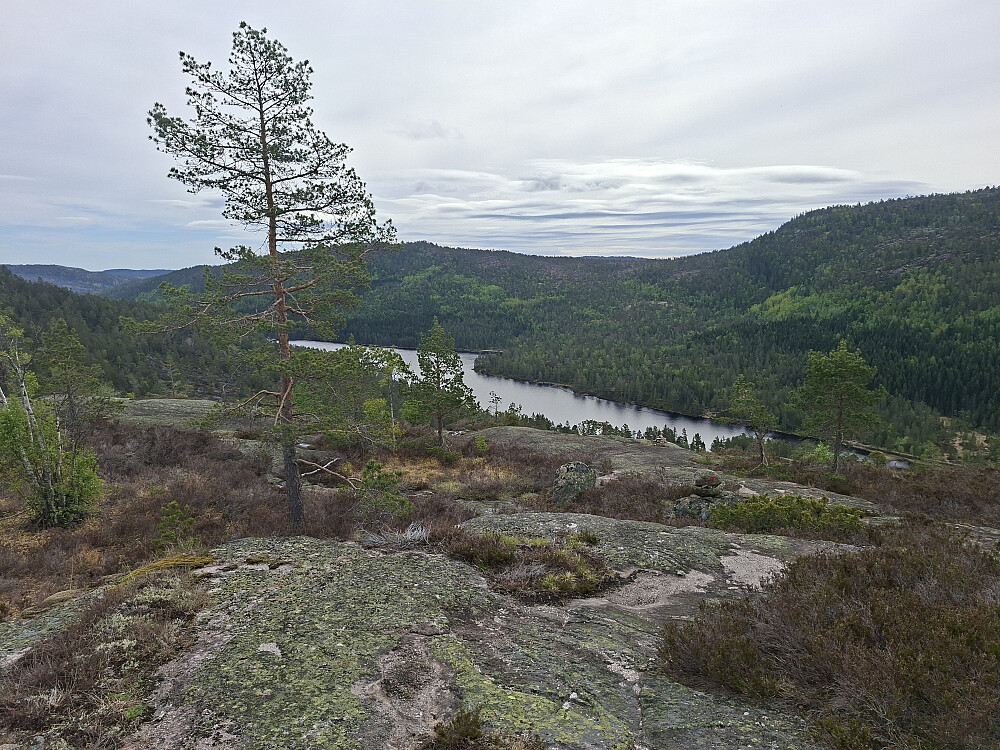 Utsikt fra Kvenntjønnane mot Uvdalsvatnet