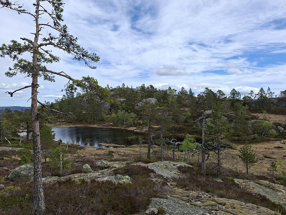 Toppen i sikte