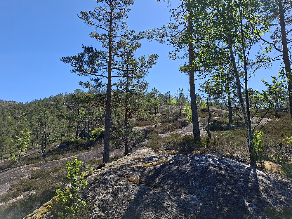 Fulgte svafjell oppover.