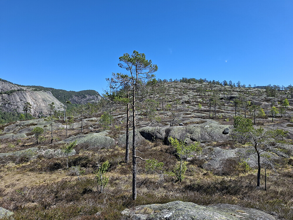 Fulgte svafjell oppover.