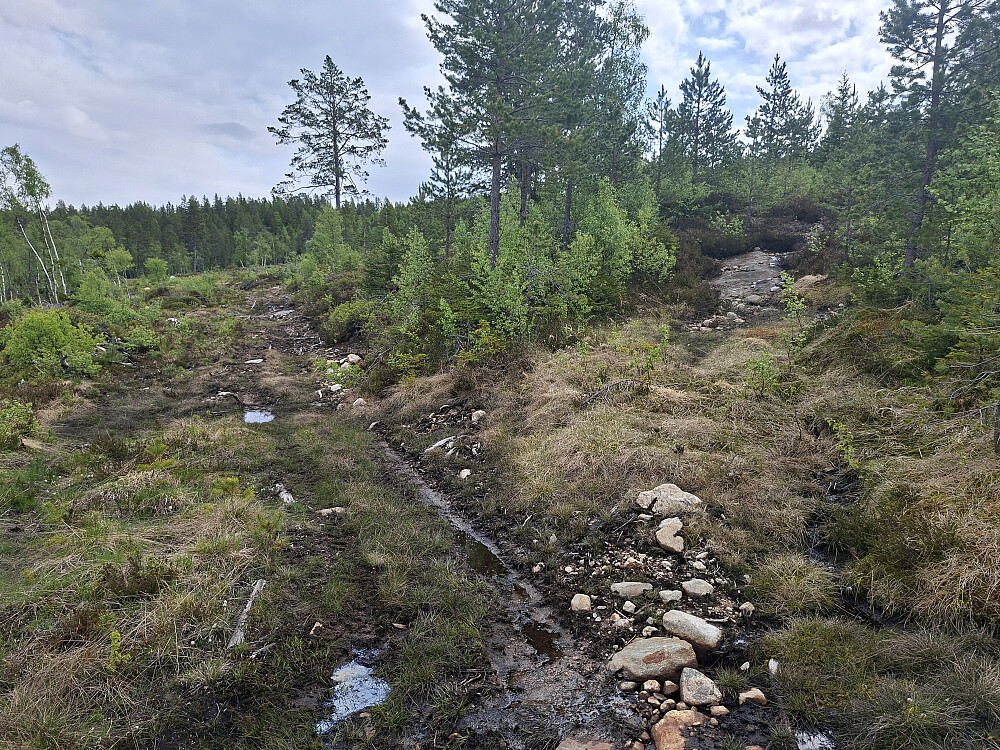 Traktorslepe opp til høyre. Ble raskt ufremkommelig.