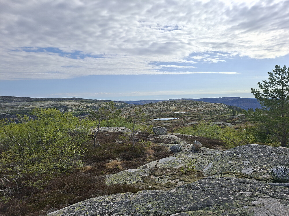 Fra Ånonsbufjell mot Allambergnatten 
