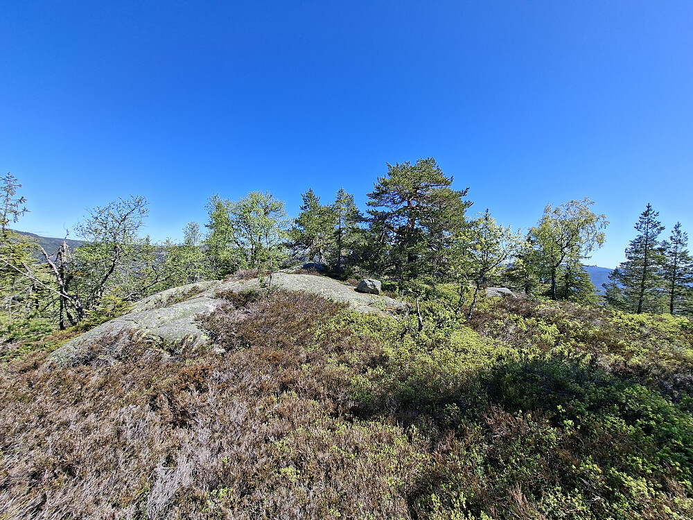 Toppunktet