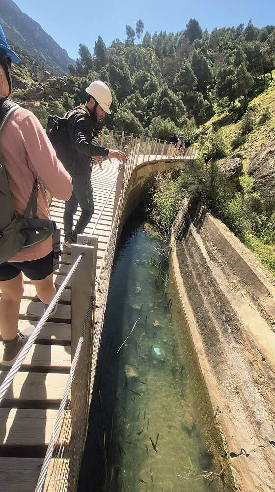 Her forklarer guiden at det er stillestående vann i dag. Og hvor fisken kommer fra, aner ikke jeg i såfall..