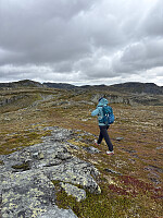 Nina2412hauge_20250830_68b300765ec35.jpg