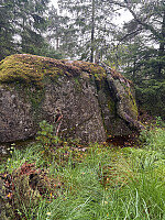 Nina2412hauge_20250901_68b5d22d0b5ee.jpg