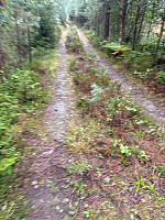 Nina2412hauge_20250901_68b5d22eceb9d.jpg