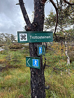 Nina2412hauge_20250914_68c722cea1d55.jpg