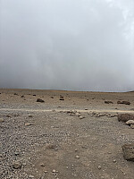 Nina2412hauge_20251014_68ee21fbacf02.jpg