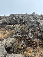 Nina2412hauge_20251014_68ee225482e61.jpg